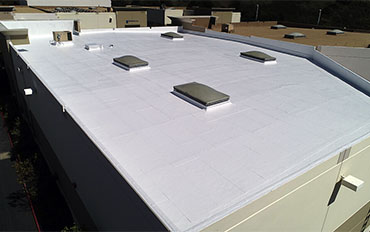 silicone-roof1